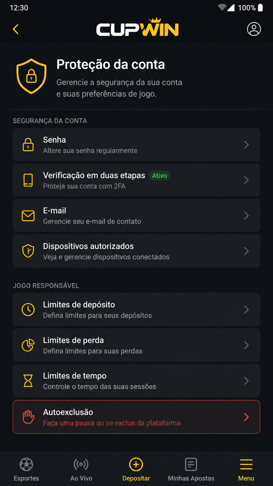 Cupwin screenshot