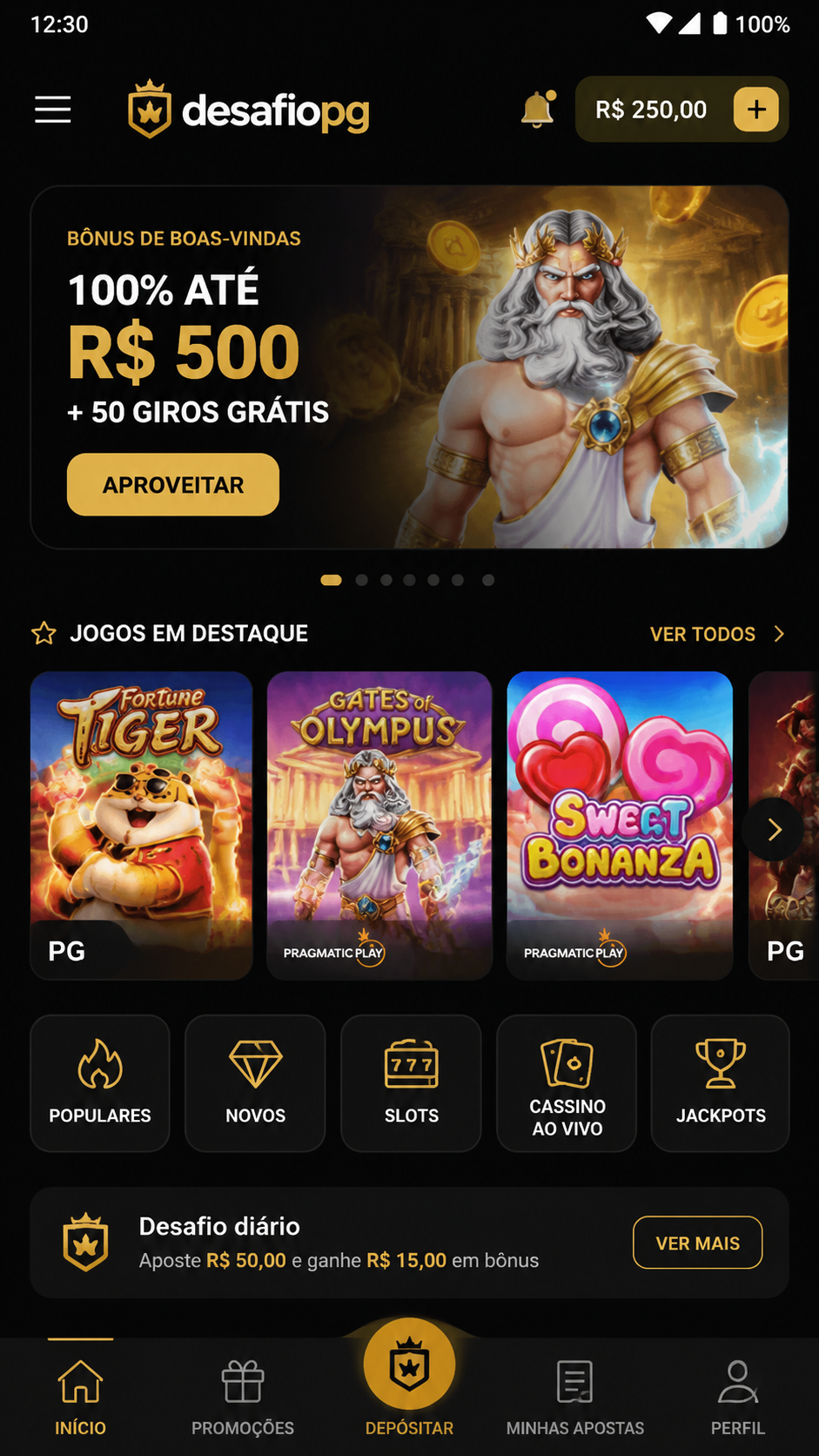 desafiopg screenshot