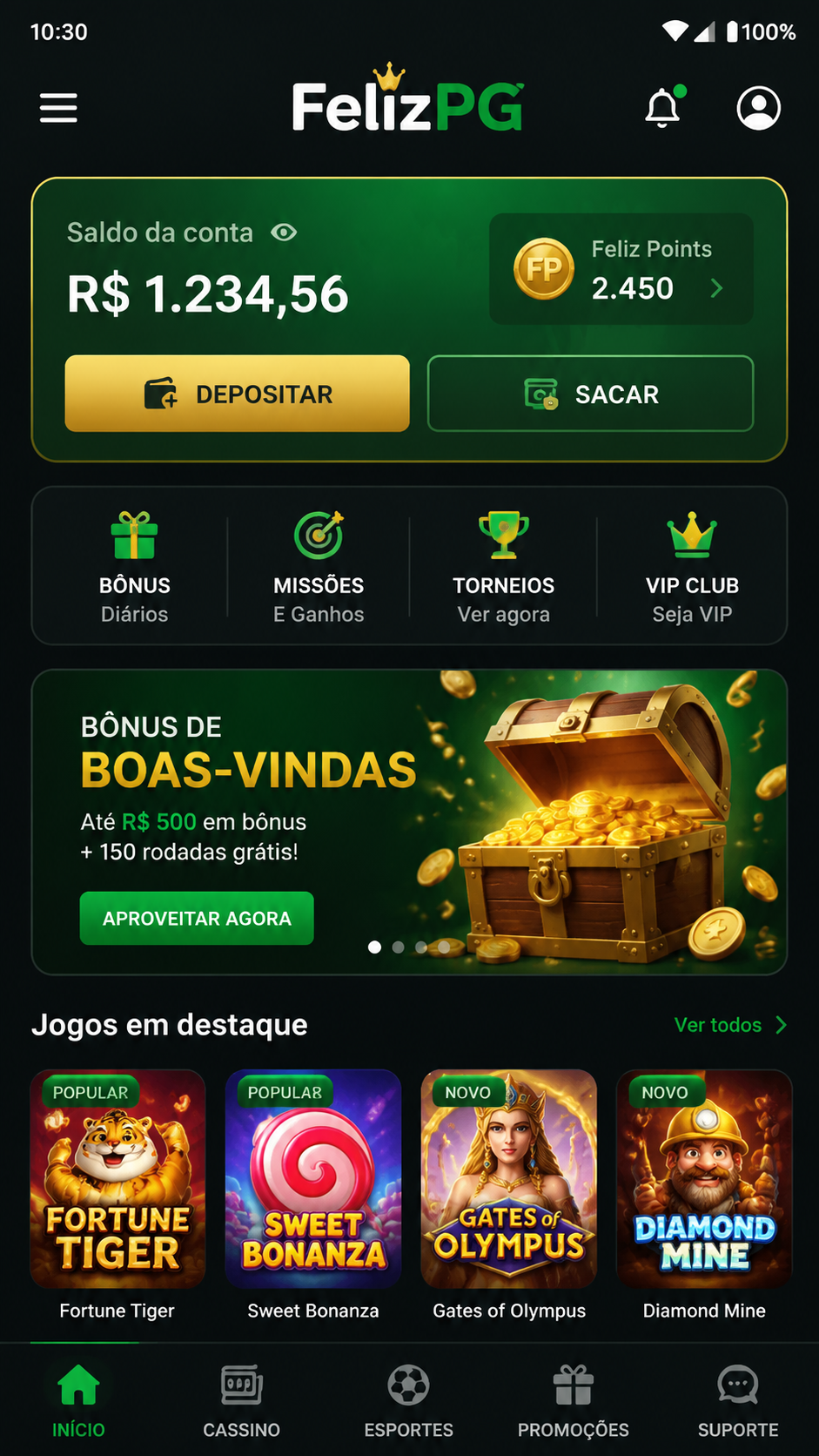 FelizPG screenshot