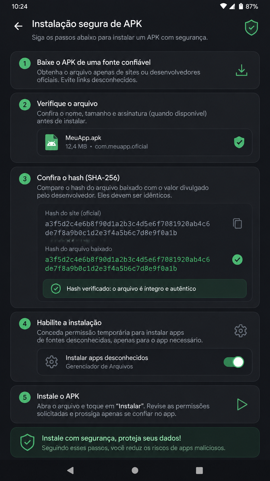 iibra screenshot