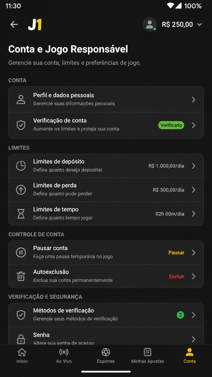 j1 screenshot