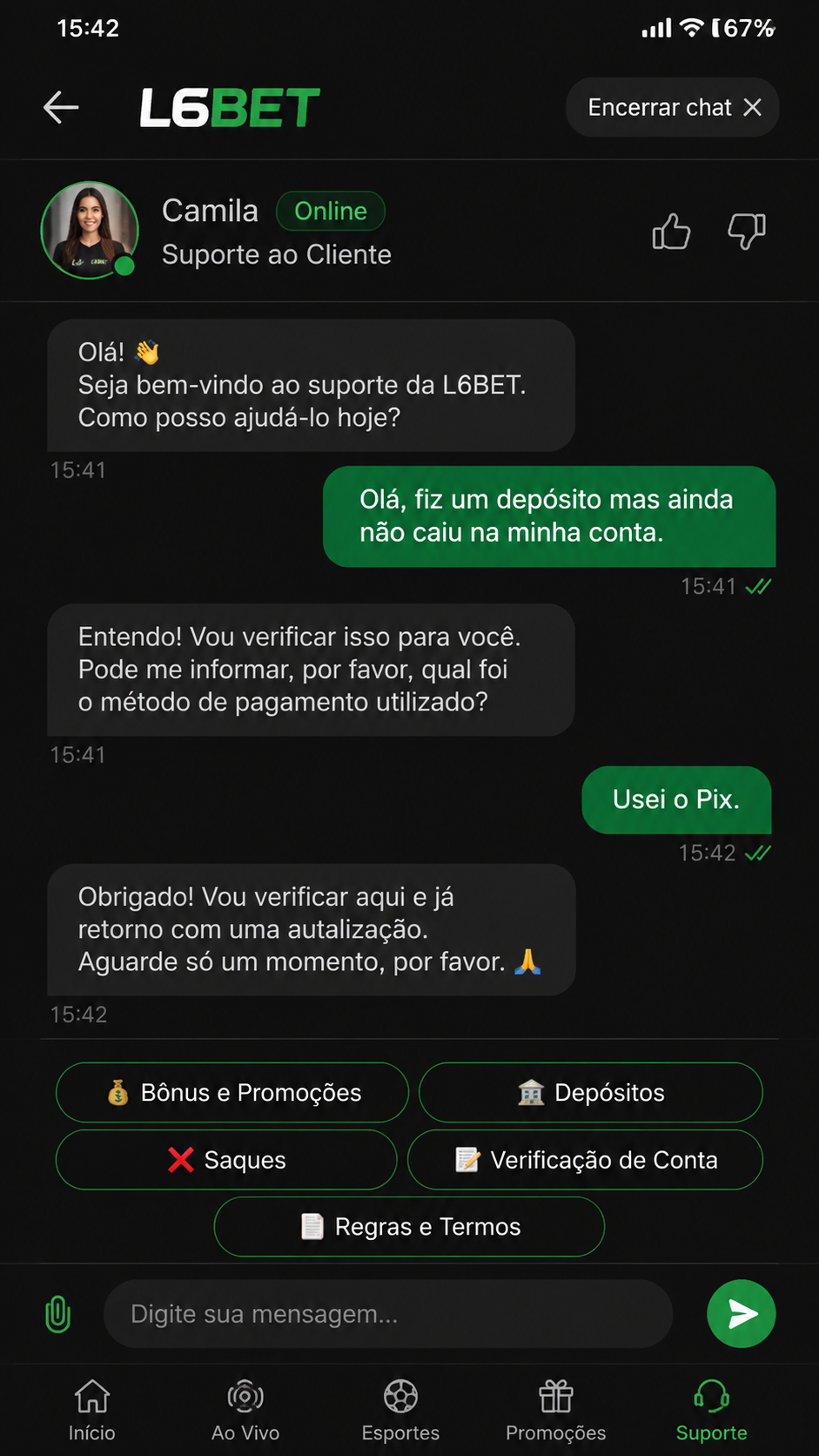 l6bet screenshot