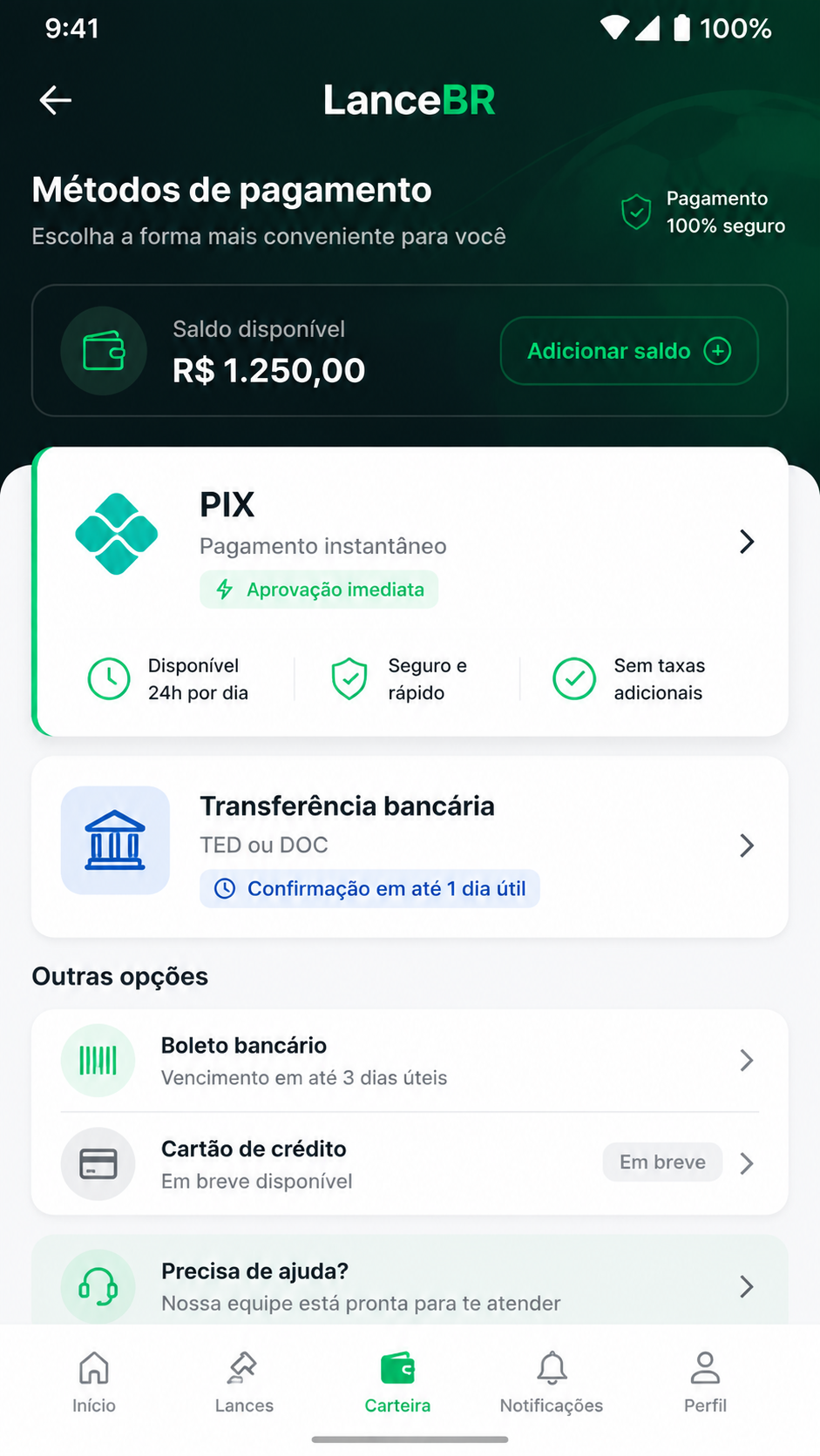 LanceBR screenshot