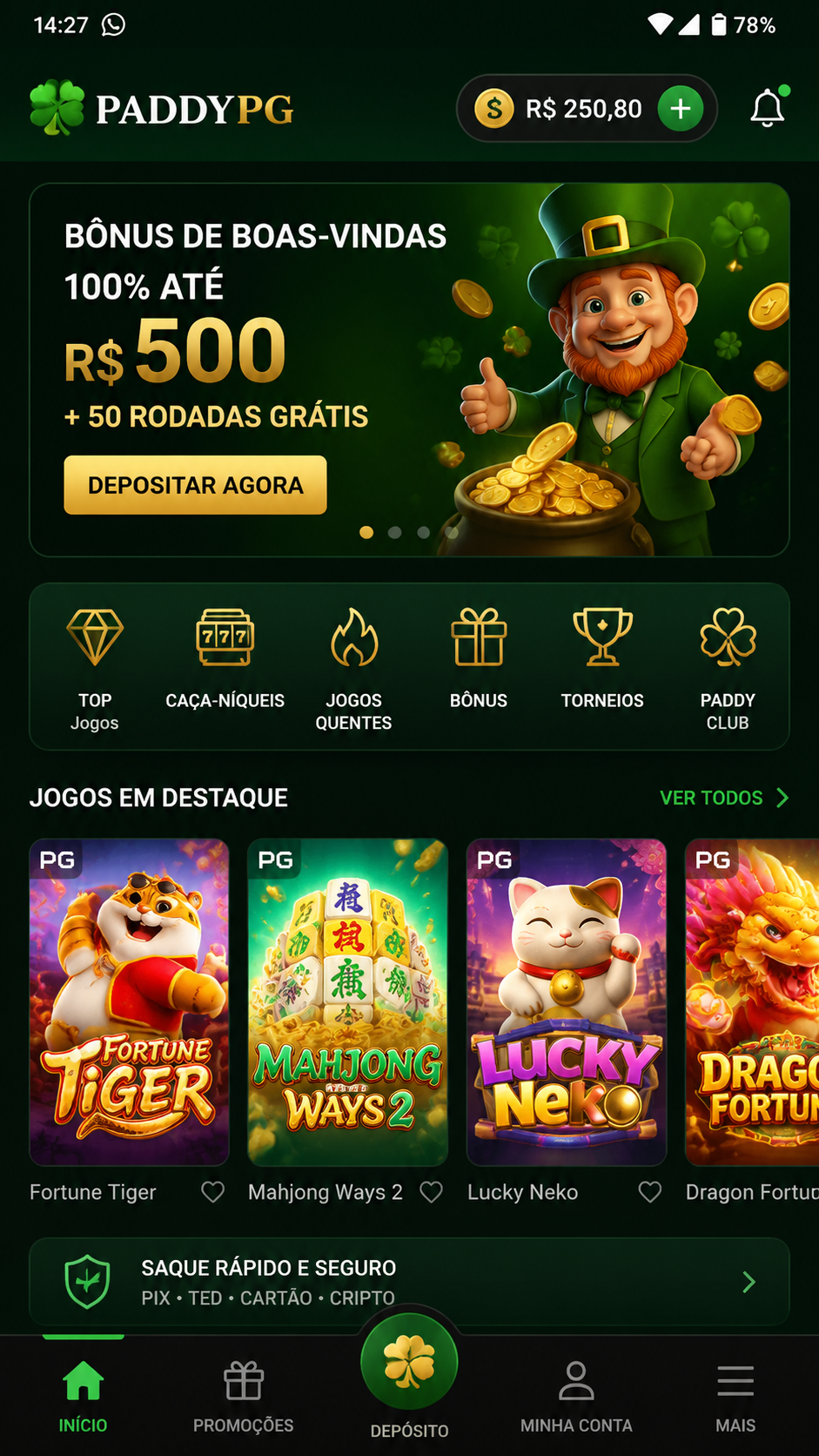 paddypg screenshot