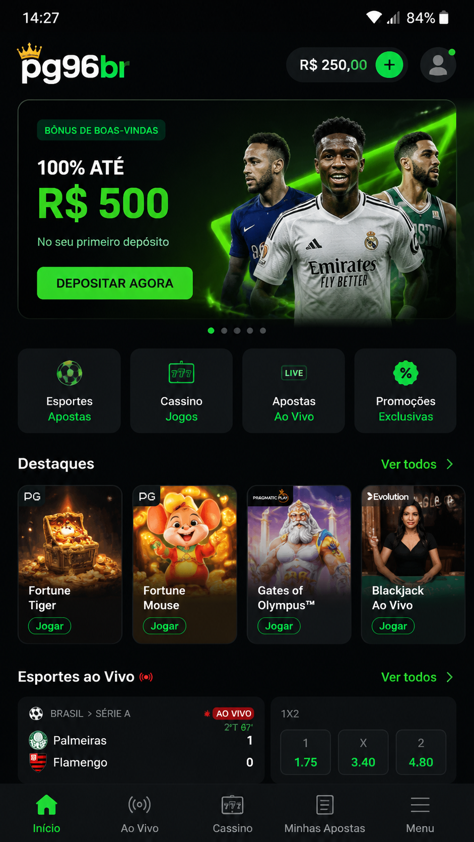 pg96br screenshot
