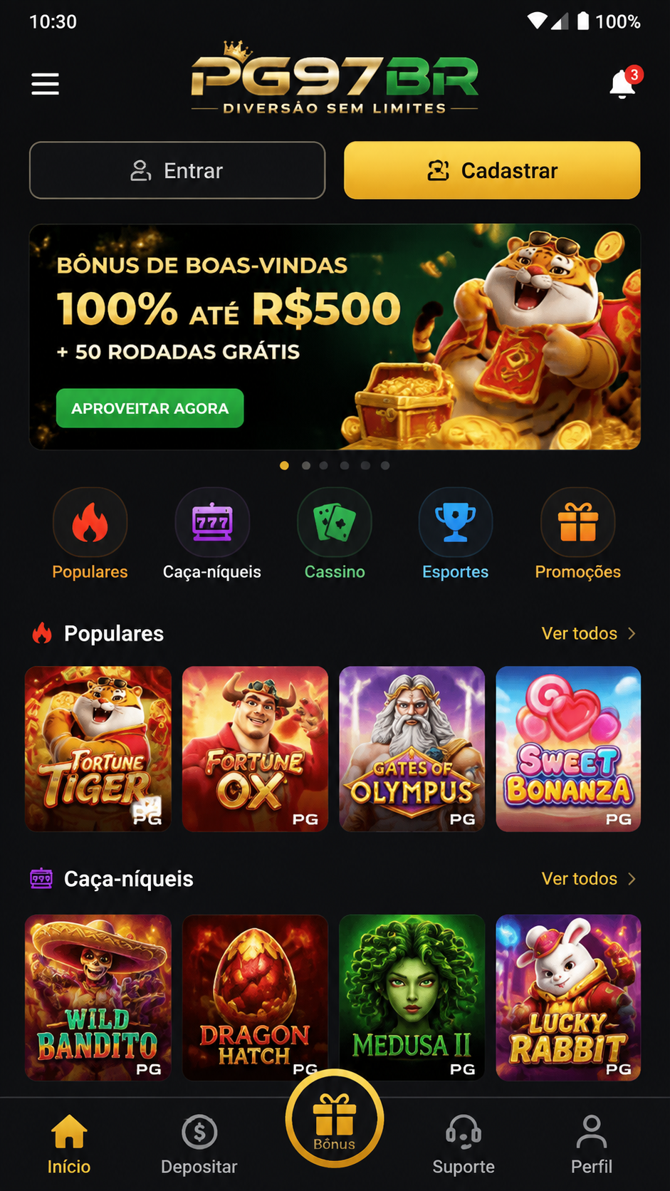 pg97br screenshot