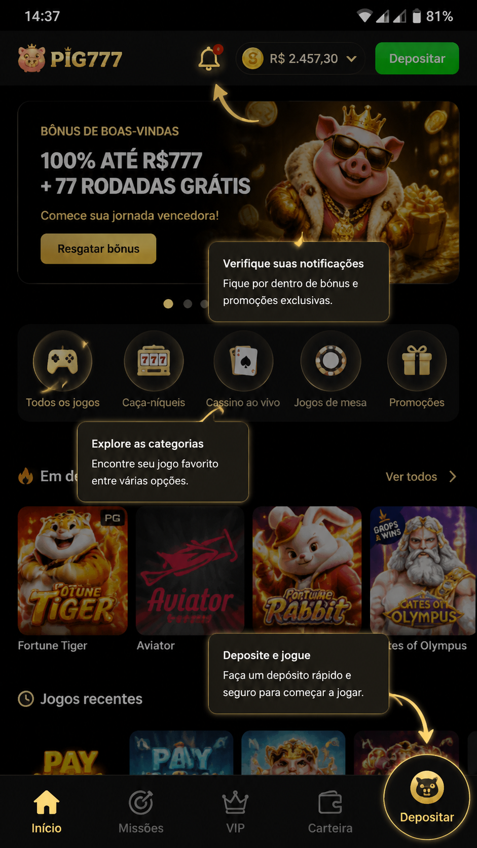 Pig777 screenshot