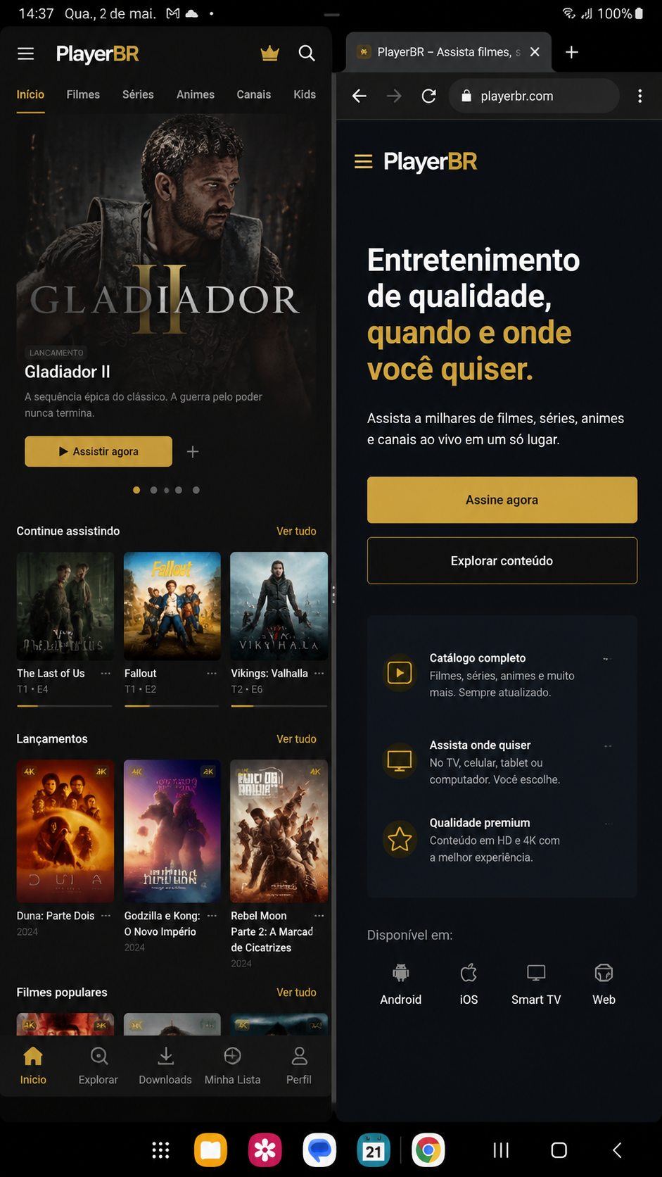 PlayerBR screenshot