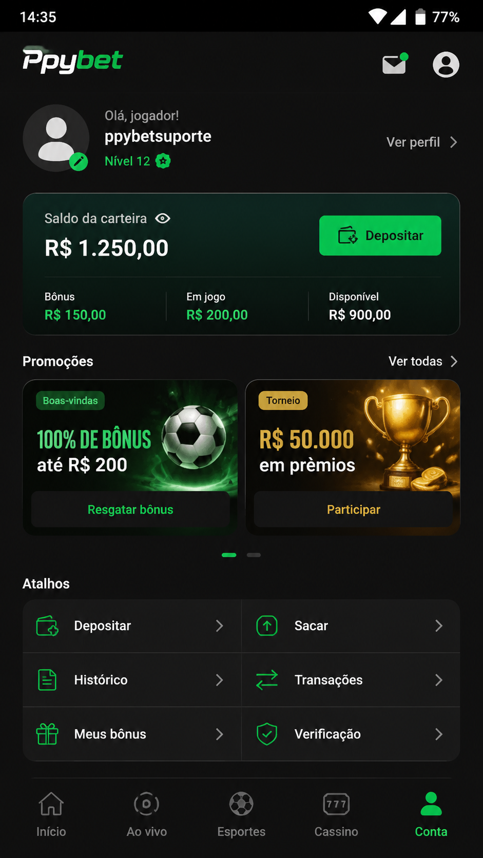Ppybet screenshot