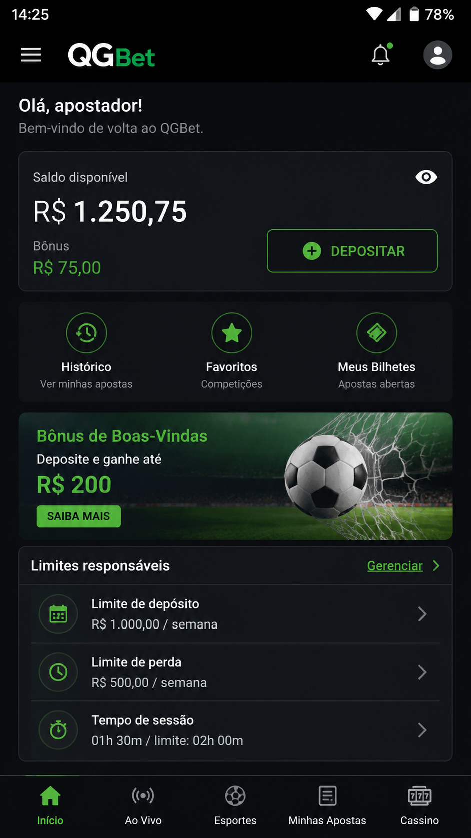 qgbet screenshot