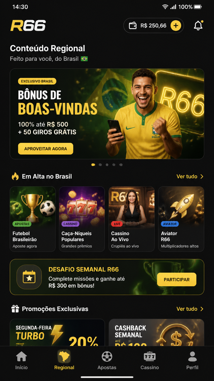 r66 screenshot