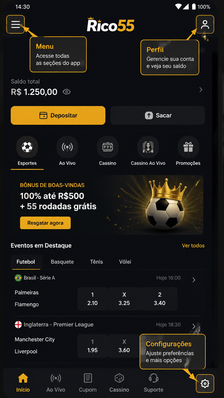 rico55 screenshot