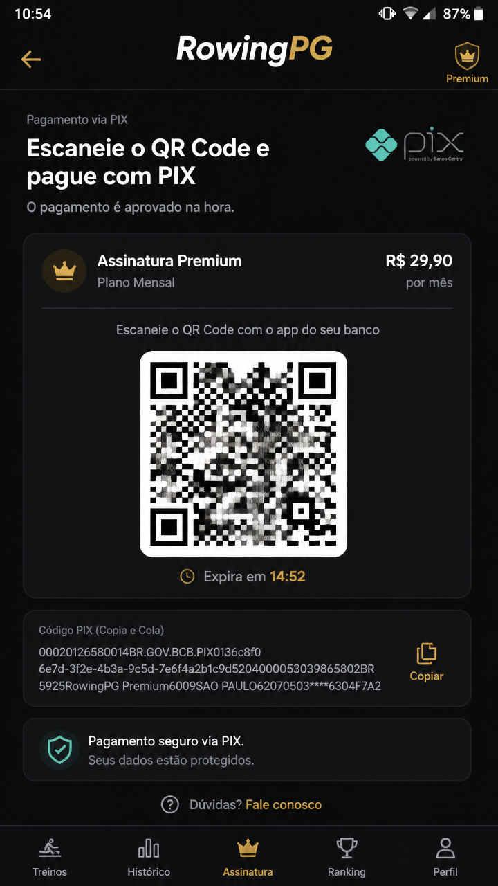 rowingpg screenshot