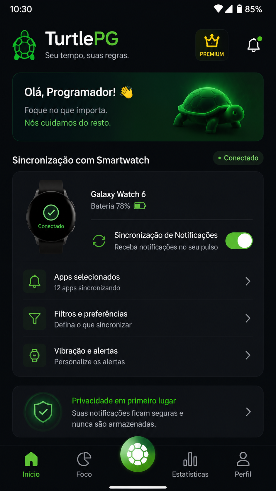 TurtlePG screenshot