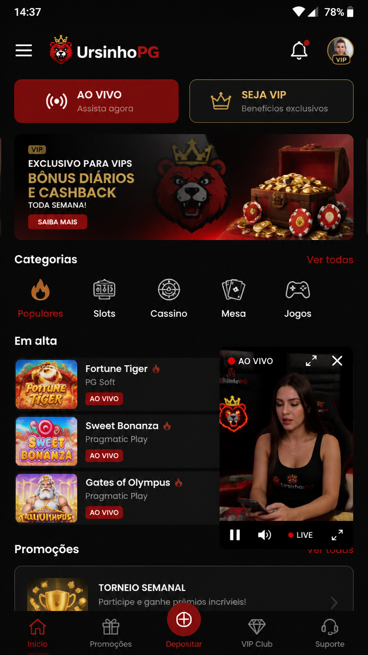 UrsinhoPG screenshot