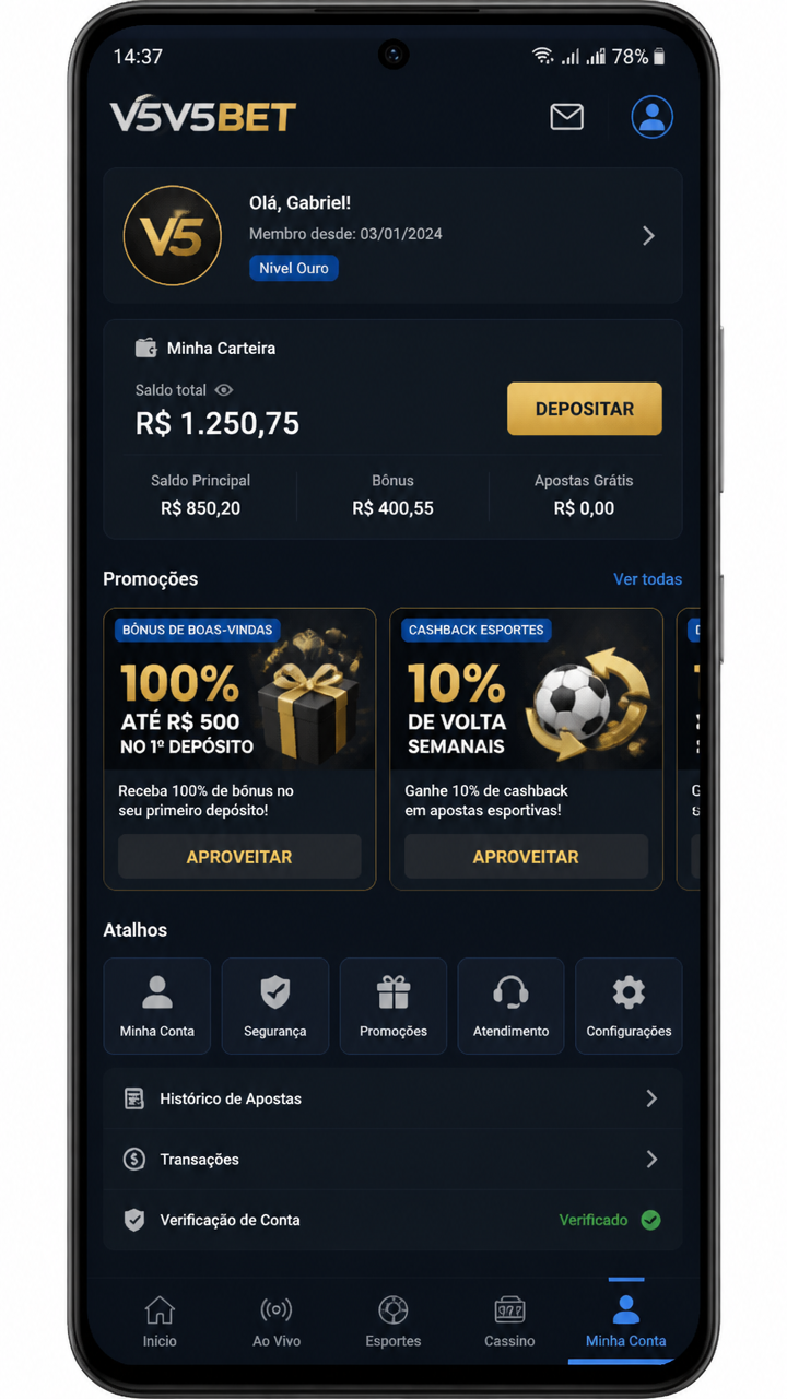 v5v5bet screenshot