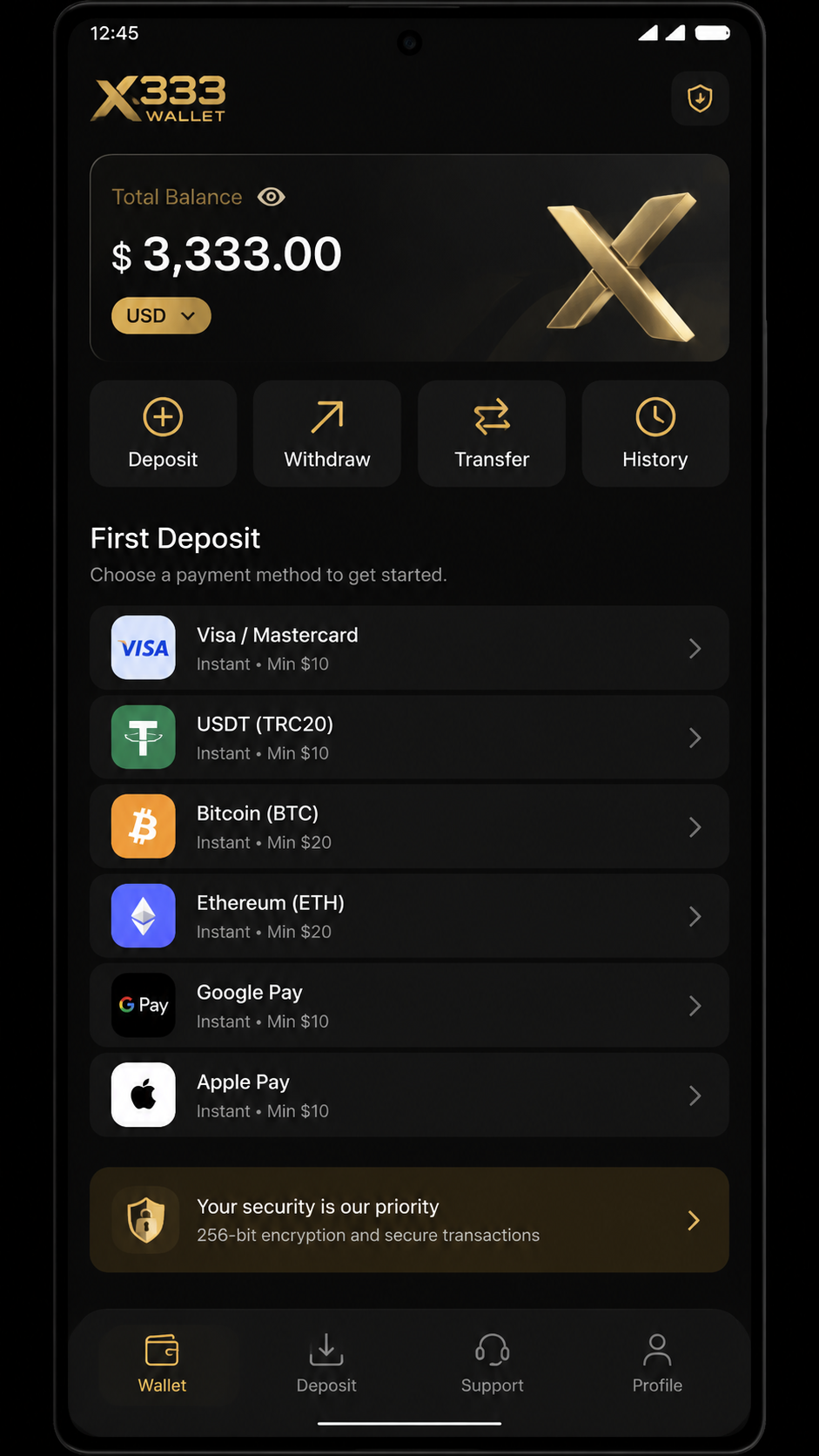 x333 screenshot