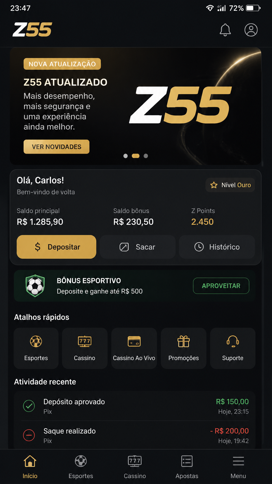 z55 screenshot