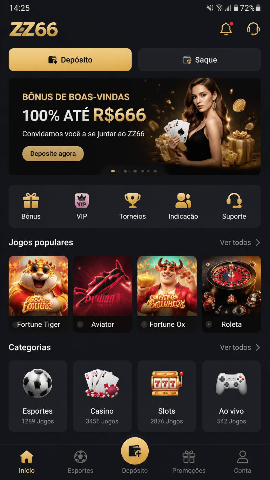 zz66 screenshot