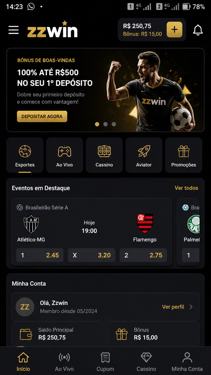 zzwin screenshot